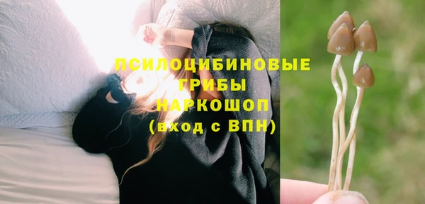 дмт Новозыбков