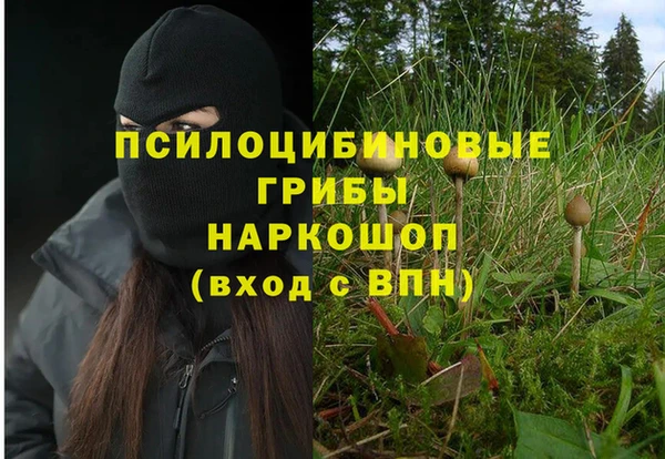 бошки Нягань