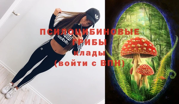 тгк Новодвинск