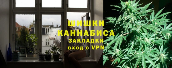 дмт Новозыбков