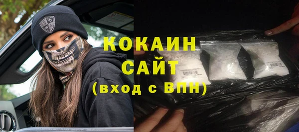 тгк Новодвинск