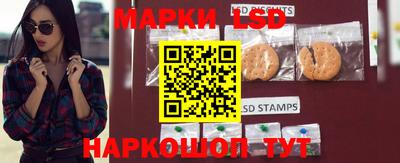 ECSTASY Гатчина