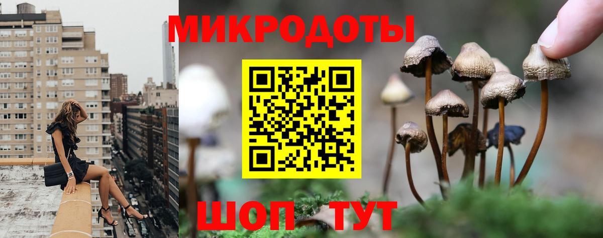 Галлюциногенные грибы Magic Shrooms Красный Сулин